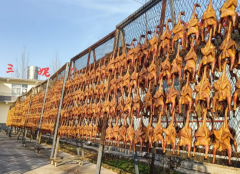 非遗老味一年产值近万万 新泰“张三妮烧鸡”带